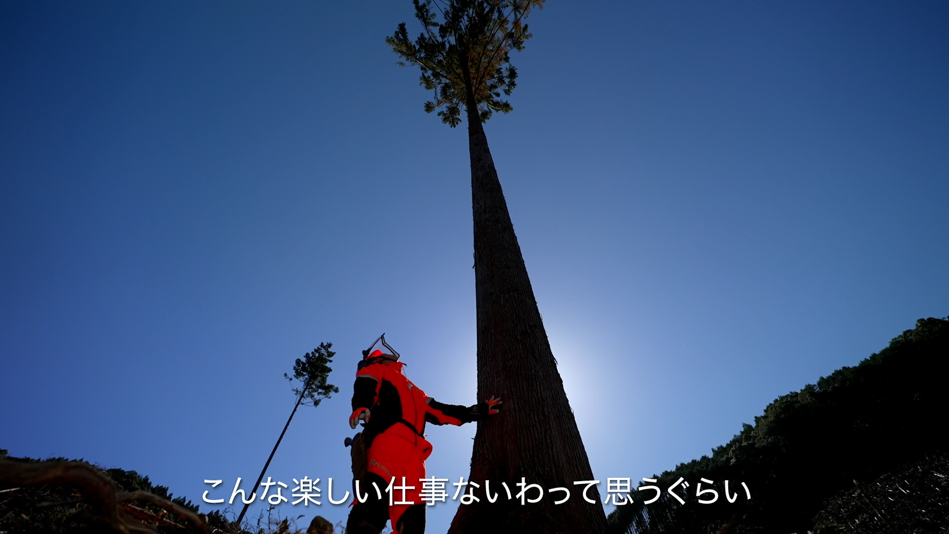 THE VOICE OF A Forest Worker