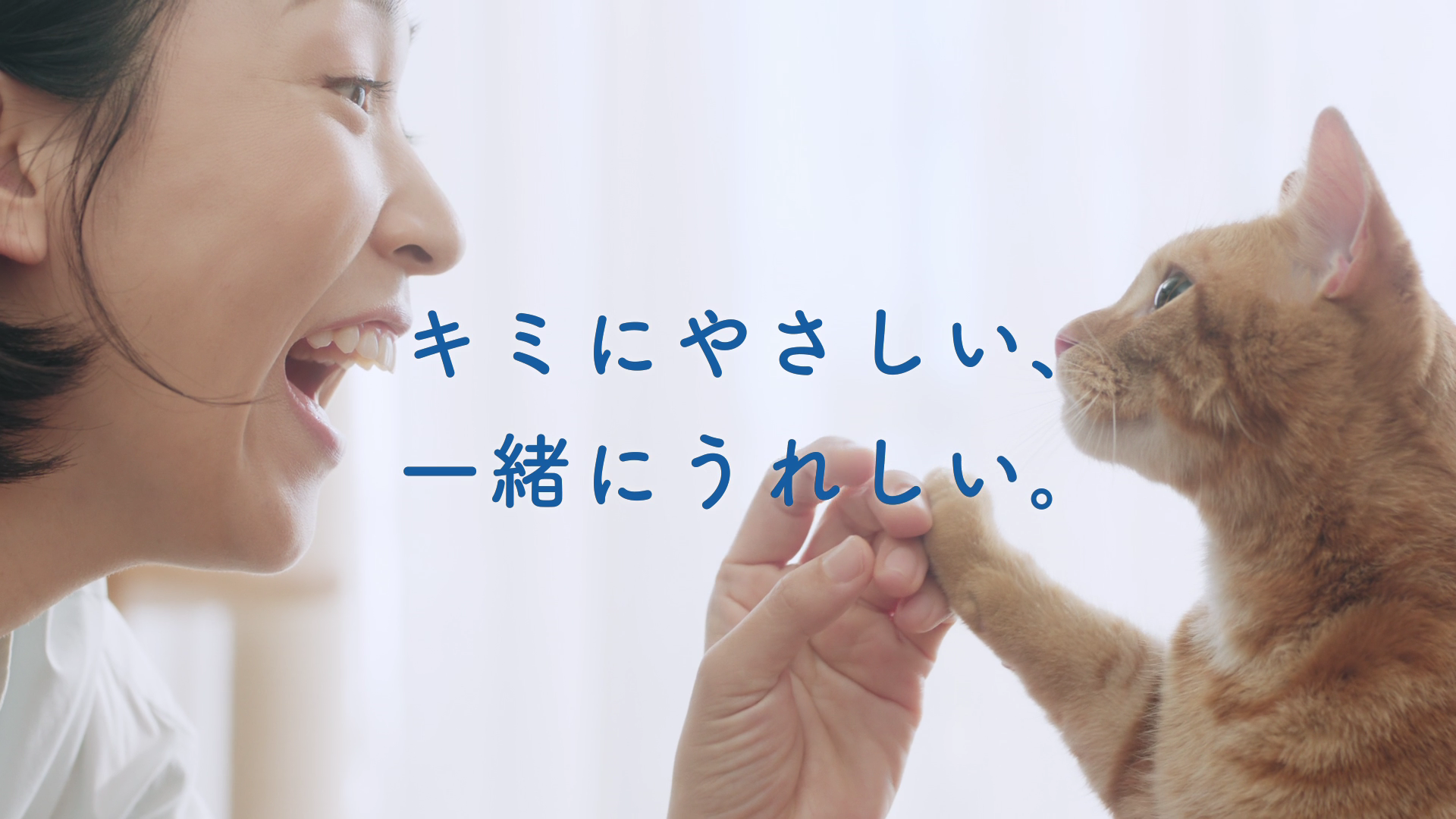エリエールPet キミおもい